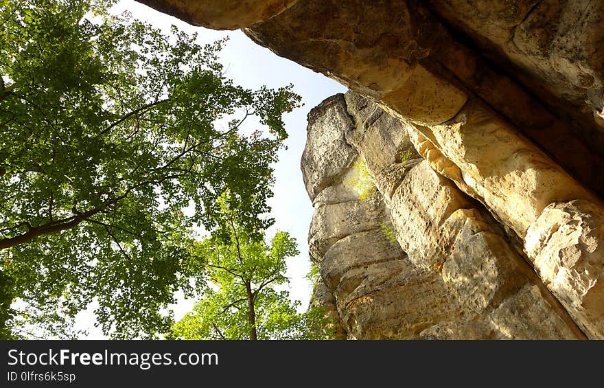 Rock, Tree, Leaf, Sky