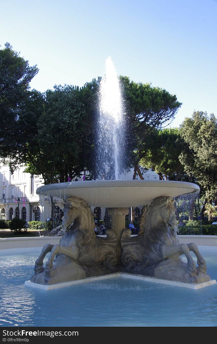 Water, Fountain, Water Feature, Tree