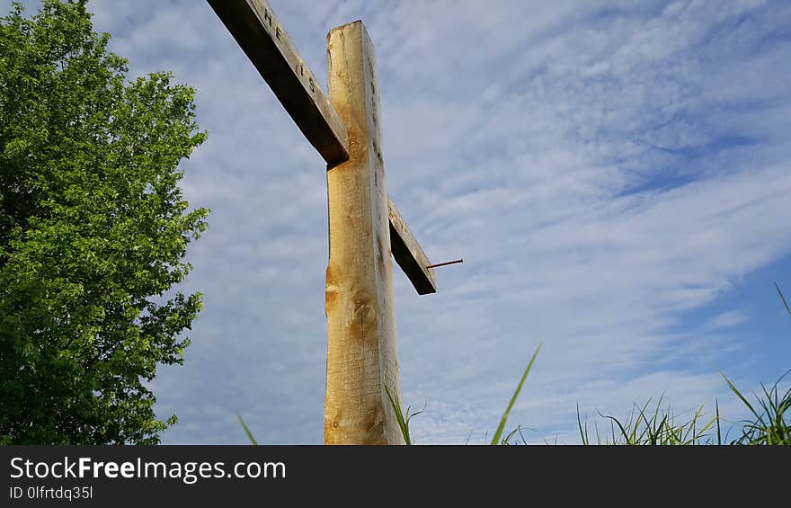 Sky, Leaf, Cloud, Grass