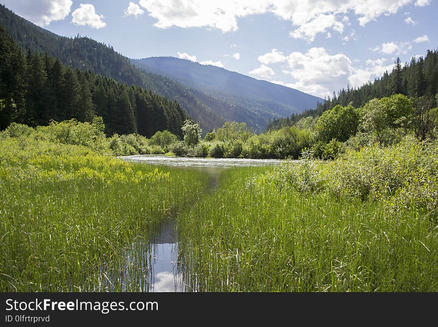 Nature, Wilderness, Nature Reserve, Ecosystem