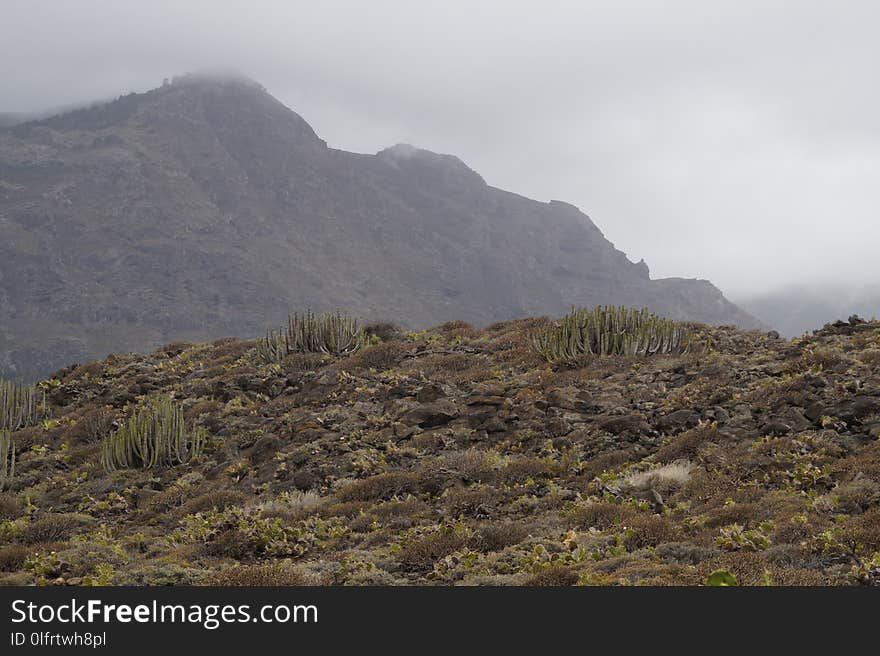 Highland, Mountain, Ridge, Mountainous Landforms