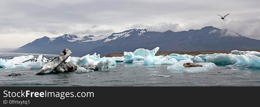 Iceberg, Sea Ice, Arctic Ocean, Arctic