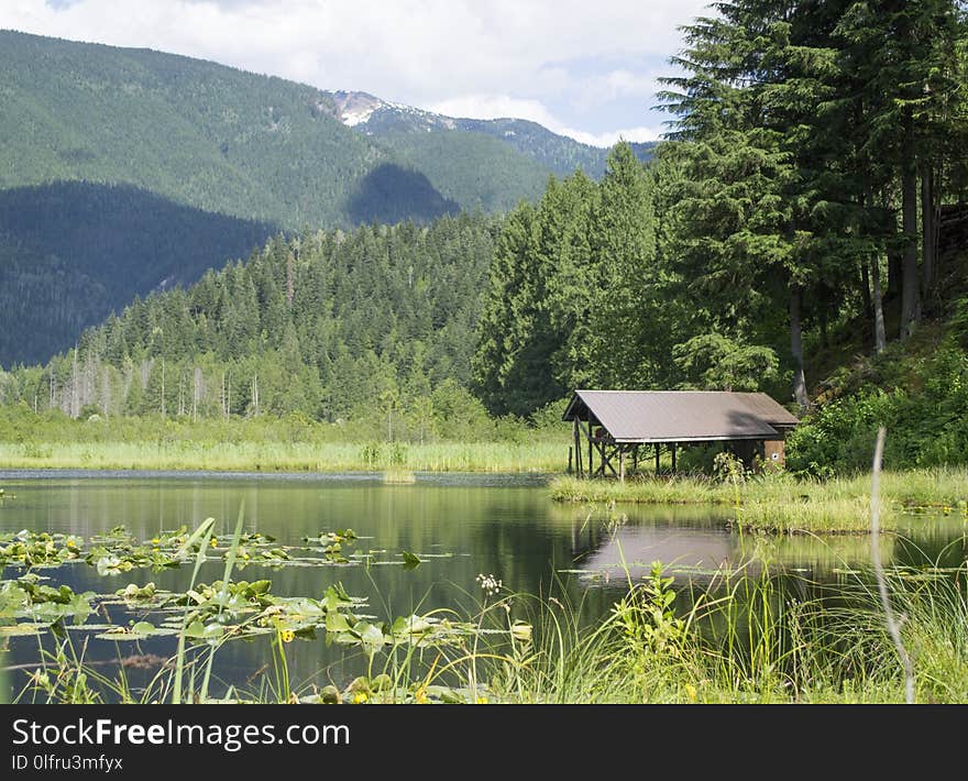 Nature, Lake, Nature Reserve, Reflection