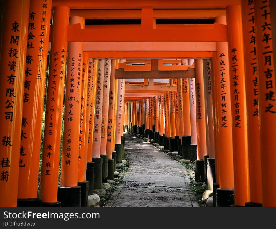 Torii, Shrine, Symmetry, Aisle