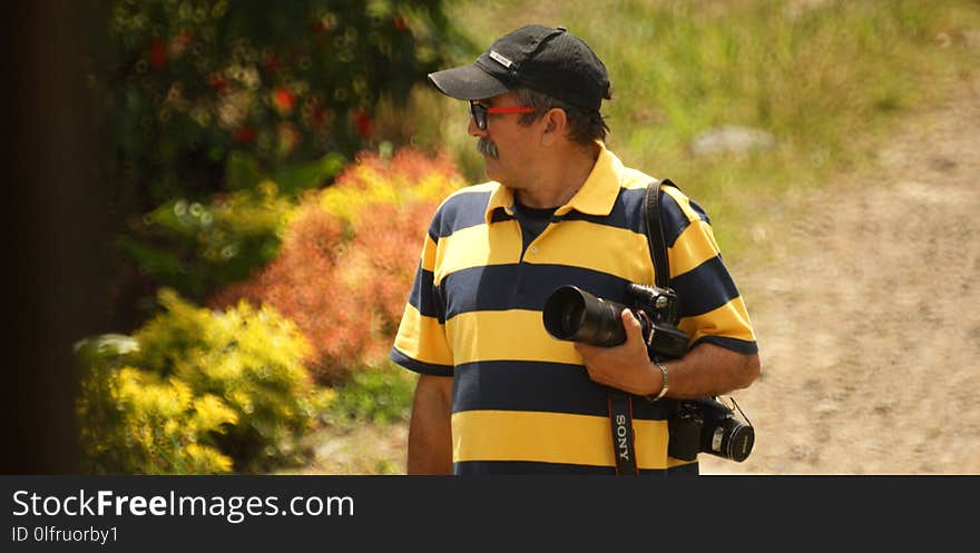 Yellow, Vertebrate, Tree, Vehicle