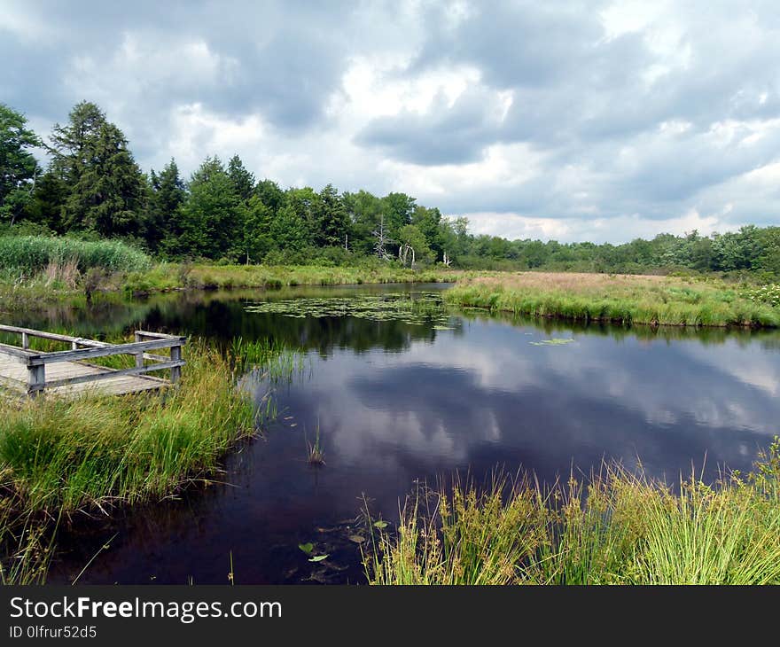 Reflection, Wetland, Nature Reserve, Waterway