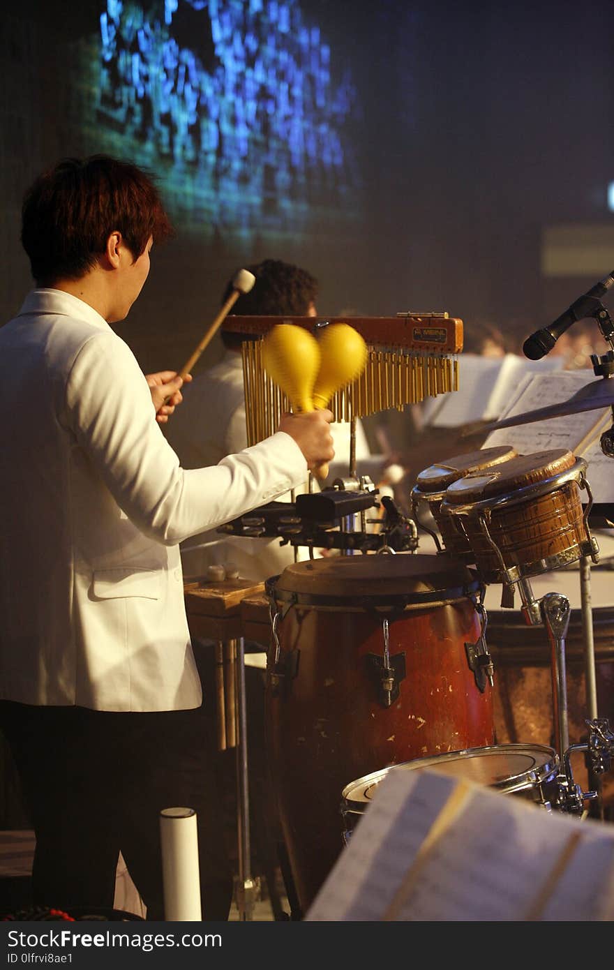 Percussion, Drum, Drummer, Drums