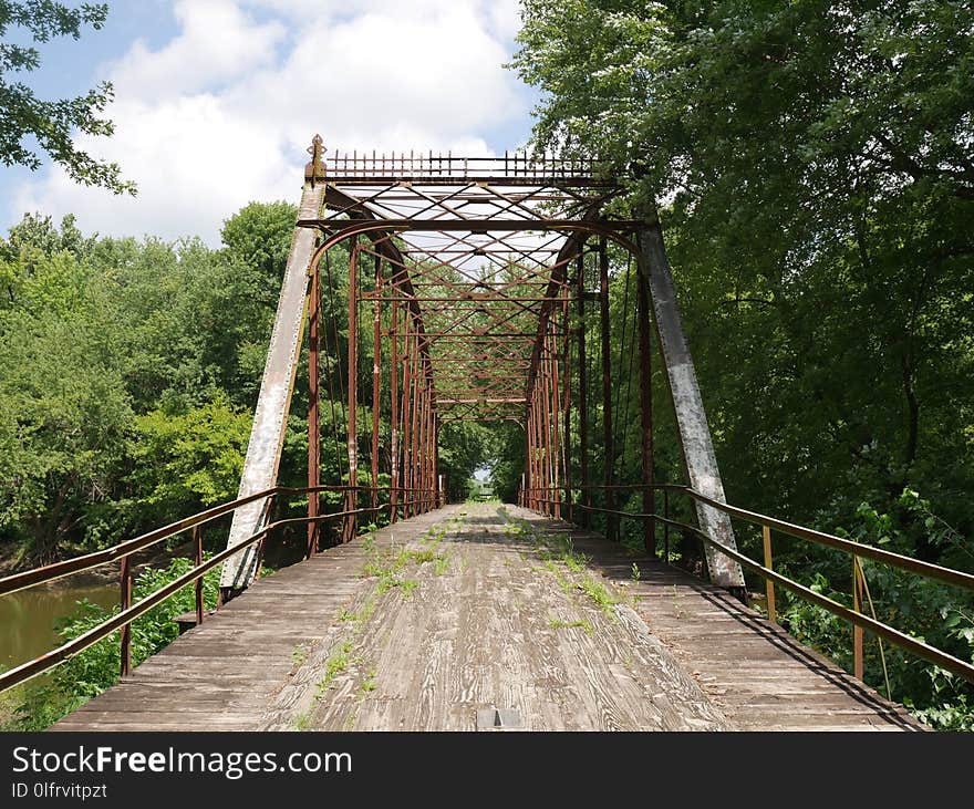 Bridge, Truss Bridge, Nature Reserve, Tree