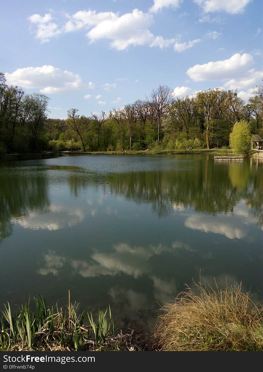 Reflection, Water, Nature, Pond