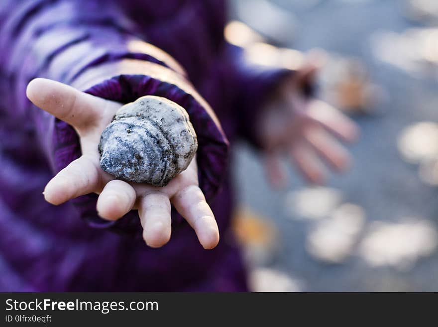 Hand, Seashell, Close Up, Finger