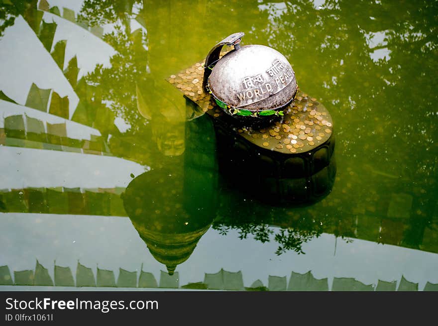 Water, Green, Reflection, Leaf