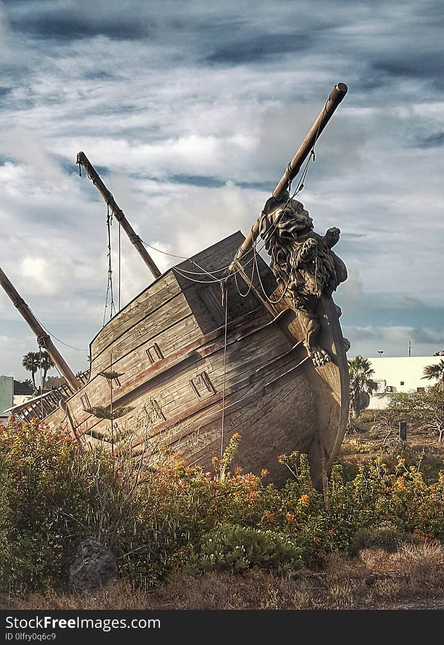 Sky, Shipwreck, Vehicle, Tree