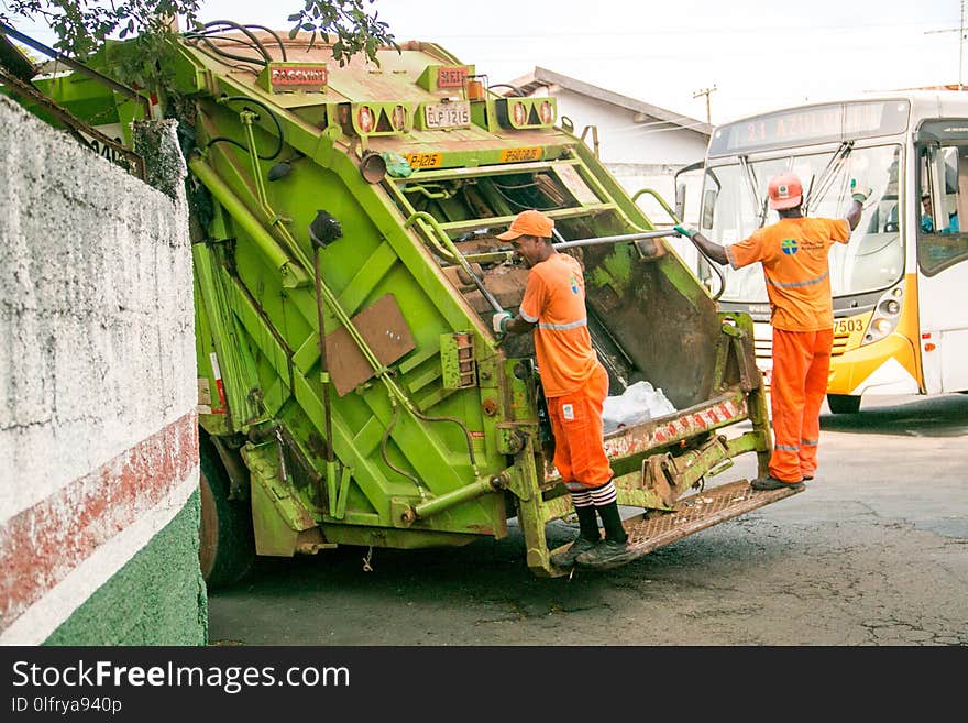 Vehicle, Transport, Motor Vehicle, Tree