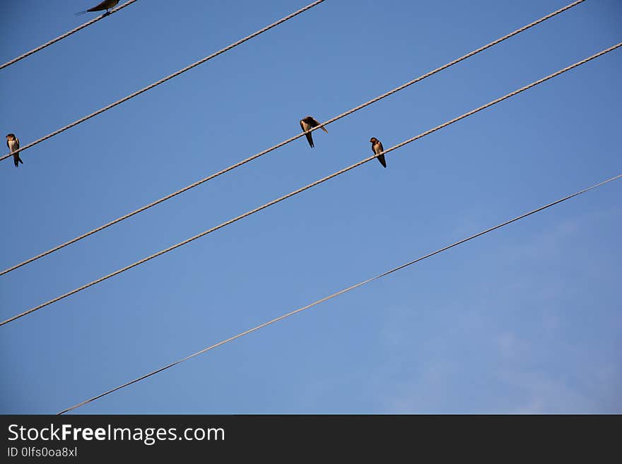 Sky, Cloud, Overhead Power Line, Electricity