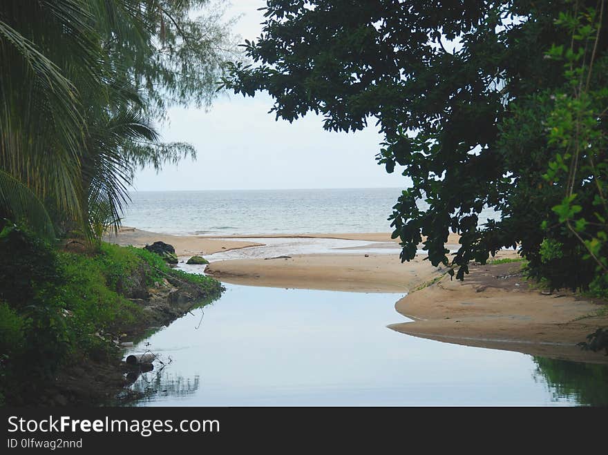 View of the ocean through the leaves of wild jungle reflected in the river, Malaysia. View of the ocean through the leaves of wild jungle reflected in the river, Malaysia