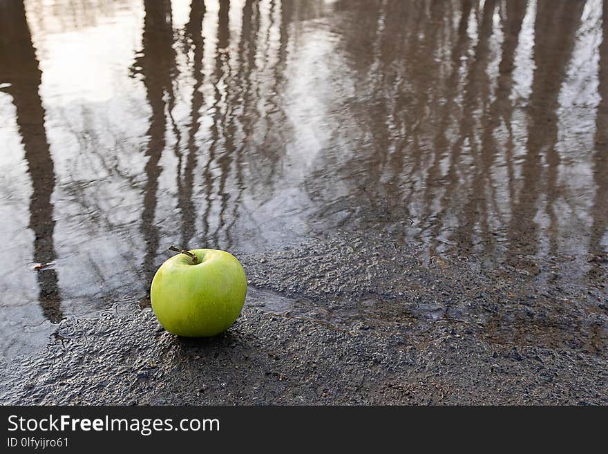 Reflected in a puddle of rows of trees, on the edge of the puddle is an apple of green color, a spring motif