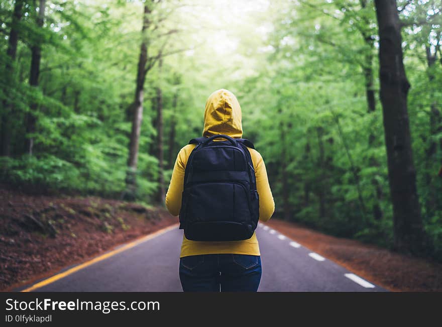 Tourist traveler with backpack standing into road at summer green forest, view back girl hiker in yellow hoody looking and enjoyin