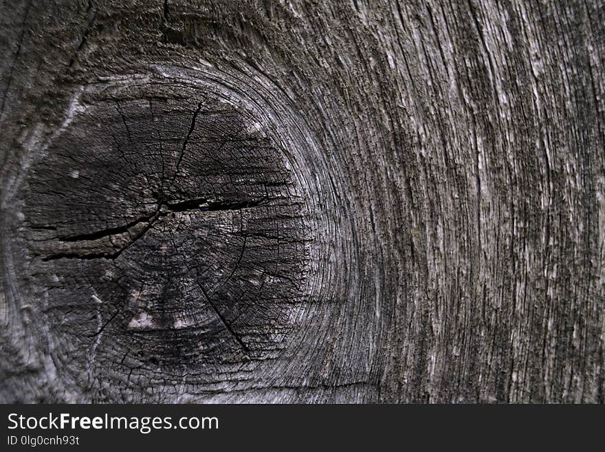 wood wall texture closeup gray color background