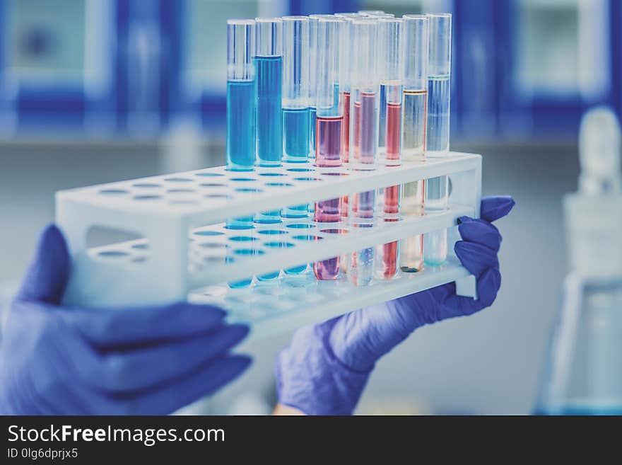 Test tubes. Skillful smart promising female chemist feeling busy while holding pack of test tubes. Test tubes. Skillful smart promising female chemist feeling busy while holding pack of test tubes