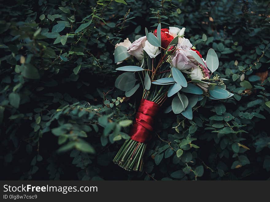 Horizontal with place for text. Red and white flowers for wedding bouquet. Wedding details. Horizontal with place for text. Red and white flowers for wedding bouquet. Wedding details.