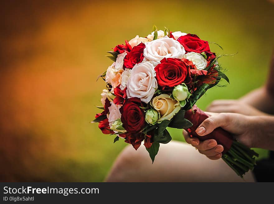 Stunning wedding bouquet with red and white roses. Stunning wedding bouquet with red and white roses.