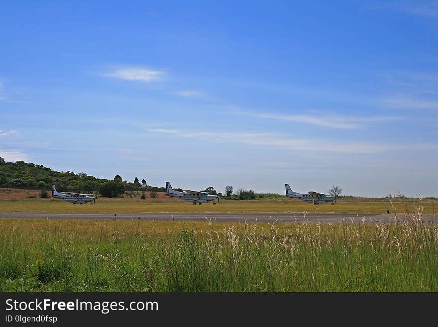 Sky, Grassland, Field, Plain