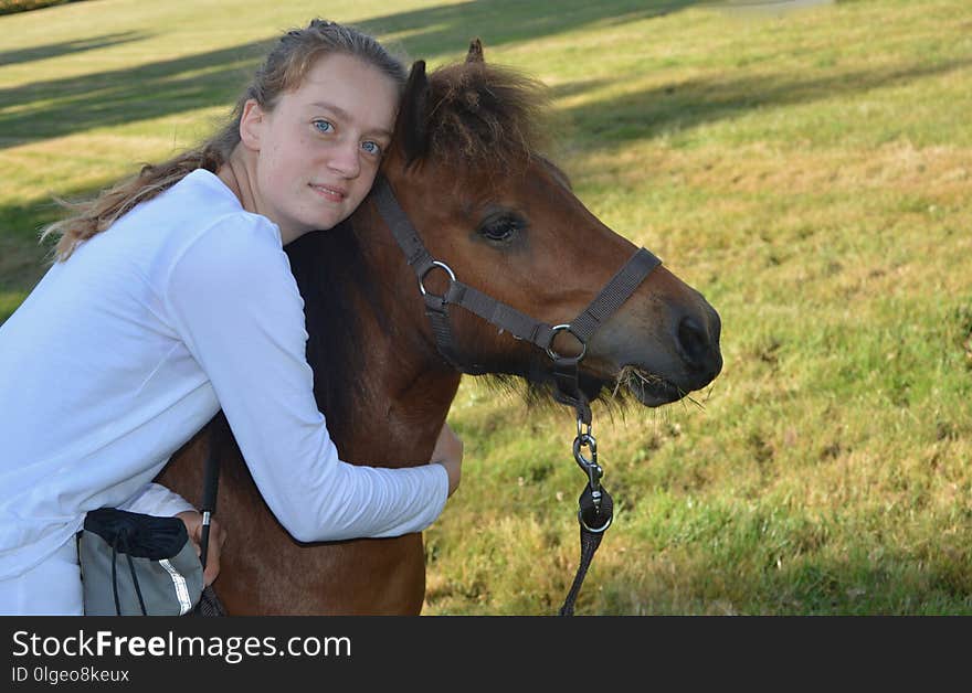 Horse, Bridle, Halter, Mane