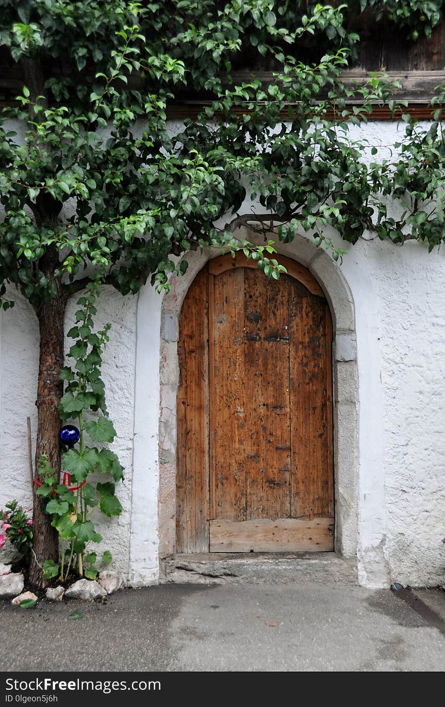 Arch, Wall, Flower, Courtyard