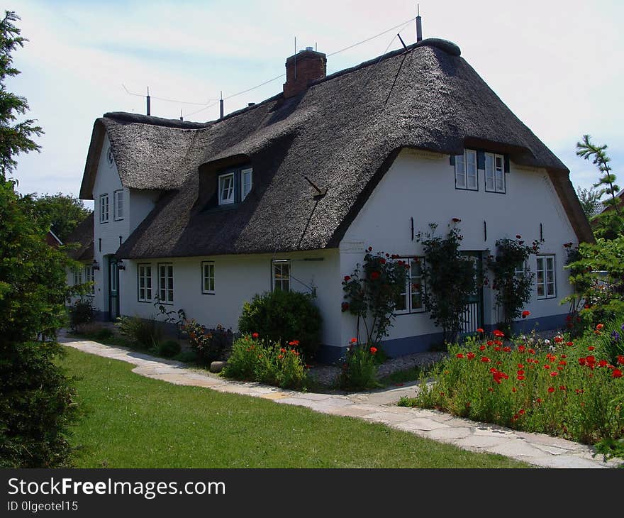 House, Property, Cottage, Thatching