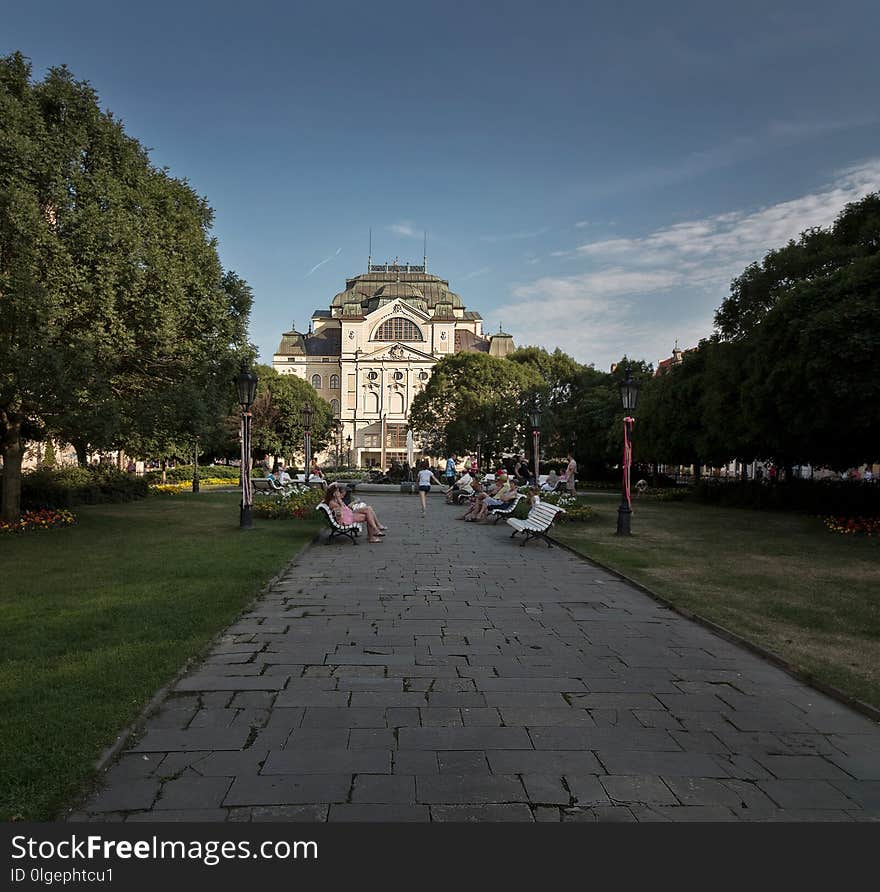 Sky, Tree, Landmark, Plant