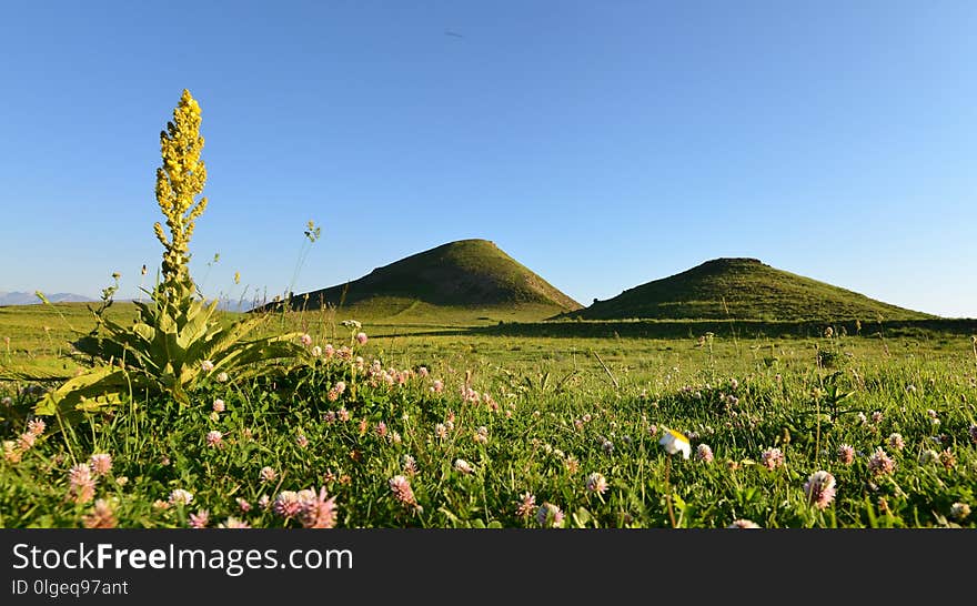 Grassland, Field, Sky, Vegetation