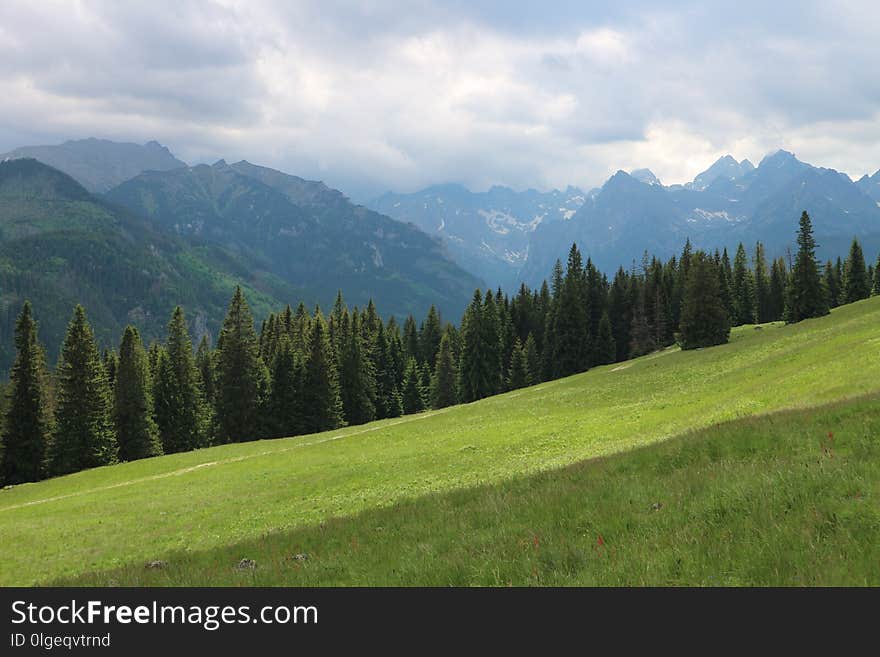 Mountainous Landforms, Grassland, Nature, Mountain Range