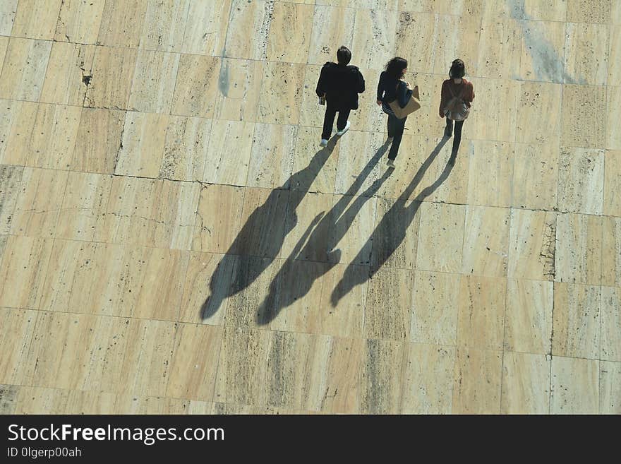 Shadow, Wall, Wood