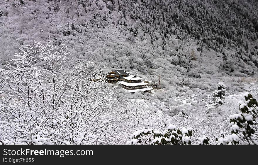 Snow, Winter, Frost, Geological Phenomenon