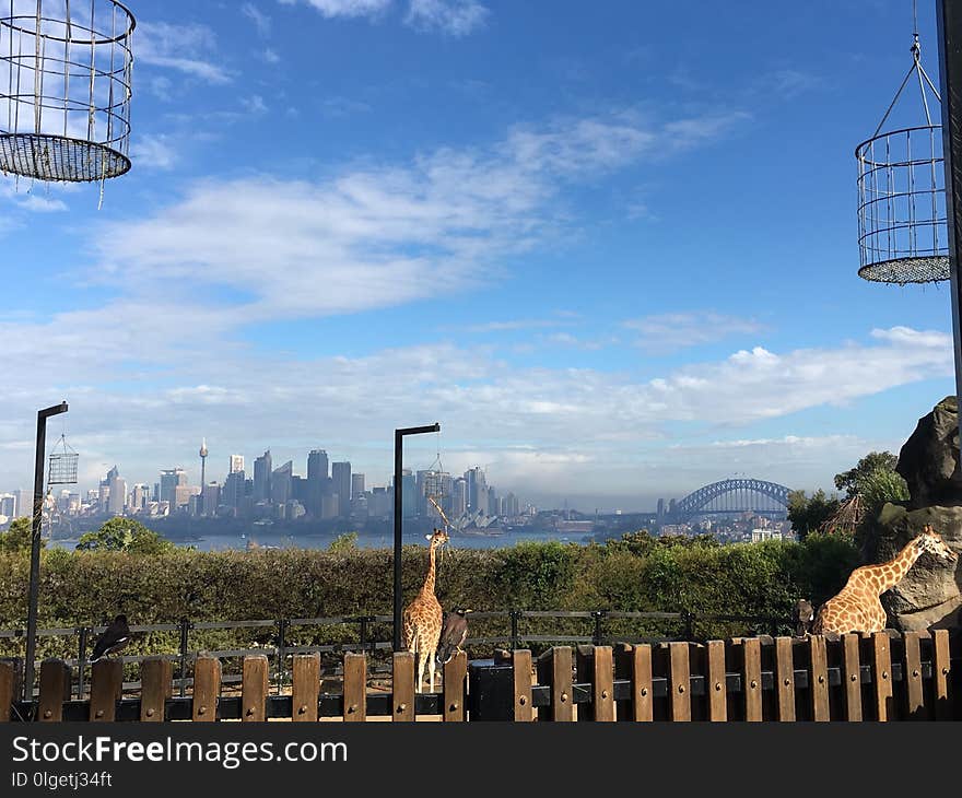 Sky, Landmark, City, Skyline