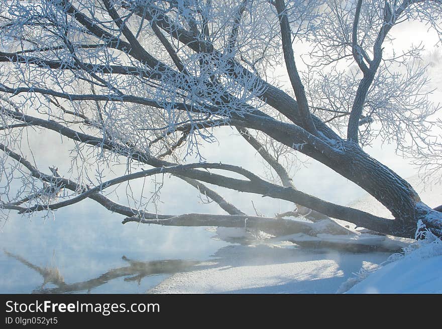 winter, winter-tide, winter-time