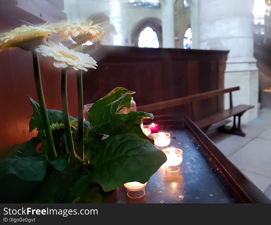 Candles Burn In The Temple, Flowers Under The Rays