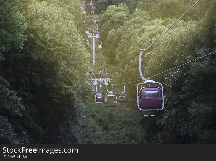 Image of a cable car in the mountains running through a forest g