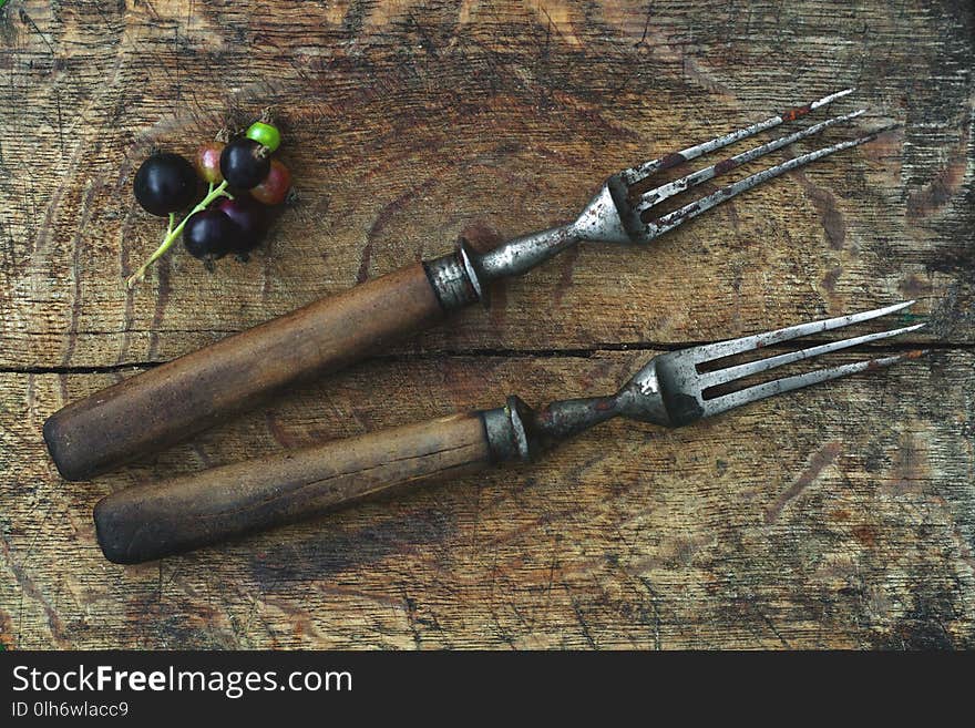 Ancient forks on a wooden board, a branch of black currant. Close-up, top view