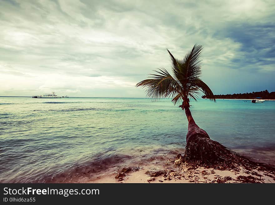 Romantic vacation on a tropical beach with palm trees and ocean. Romantic vacation on a tropical beach with palm trees and ocean