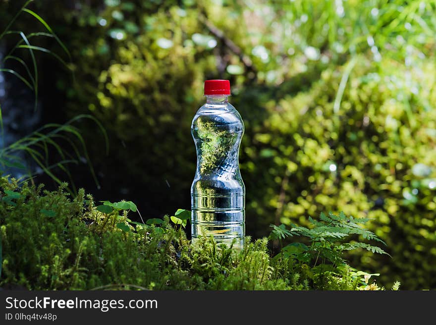 Transparent plastic A bottle of clean water with a red lid stands in the grass and moss on the background of the luscious greenery of the spring forest. The concept of pure natural drinking water.
