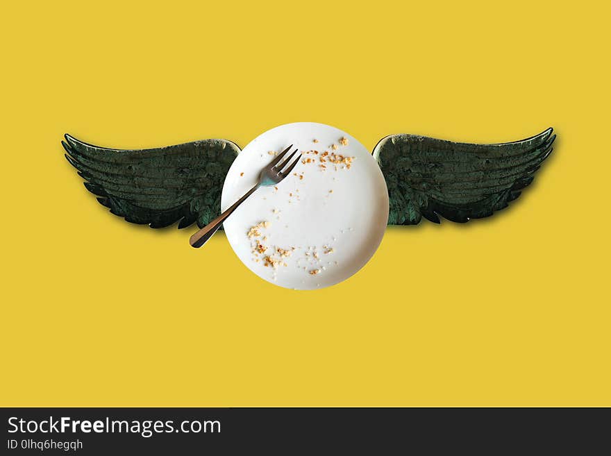 Minimal conceptual illustration of an empty plate with crumbs and wings on a yellow background. My idea, design and art