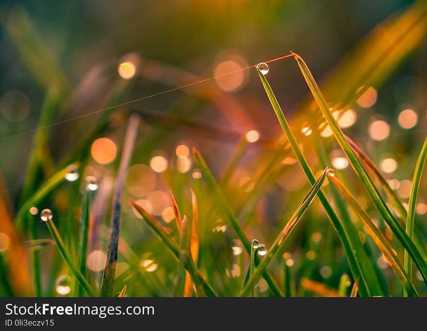 Just a photo of nature pieces in spring time. Just a photo of nature pieces in spring time