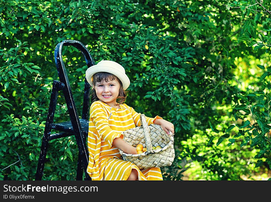 A pretty girl with a basket in her hands is harvesting berries