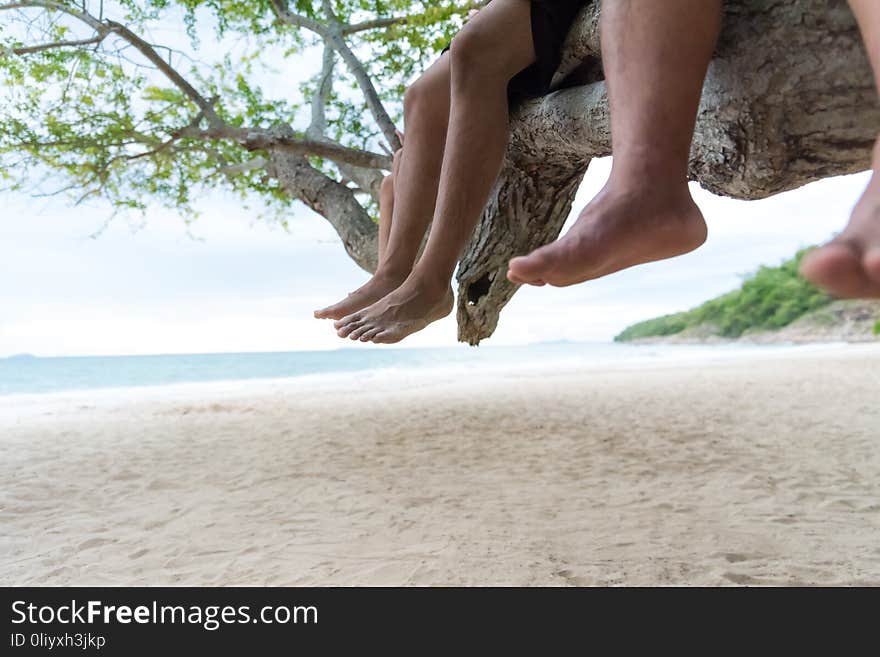 Three friends relaxing sit side by side on tree branch on the beach with blue sky background. friendship day and love concept.