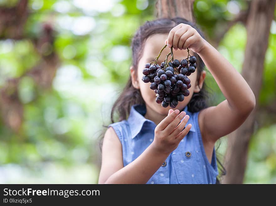 Cute asian child girl holding bunch of red grapes