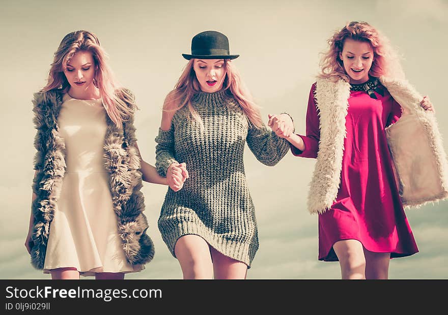 Three fashionable women having presenting pretty stylish outfits. Style, fashion, friendship concept. Three fashionable women having presenting pretty stylish outfits. Style, fashion, friendship concept.