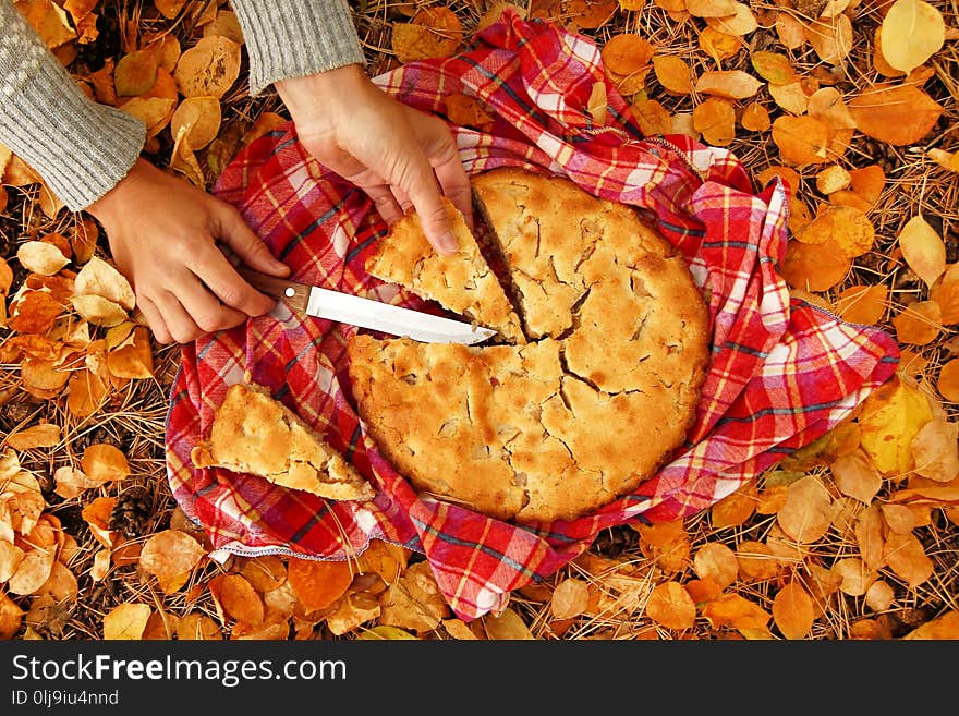 Hands of woman with pieces of apple pie on a red checkered towel and dry yellow autumn leaves.