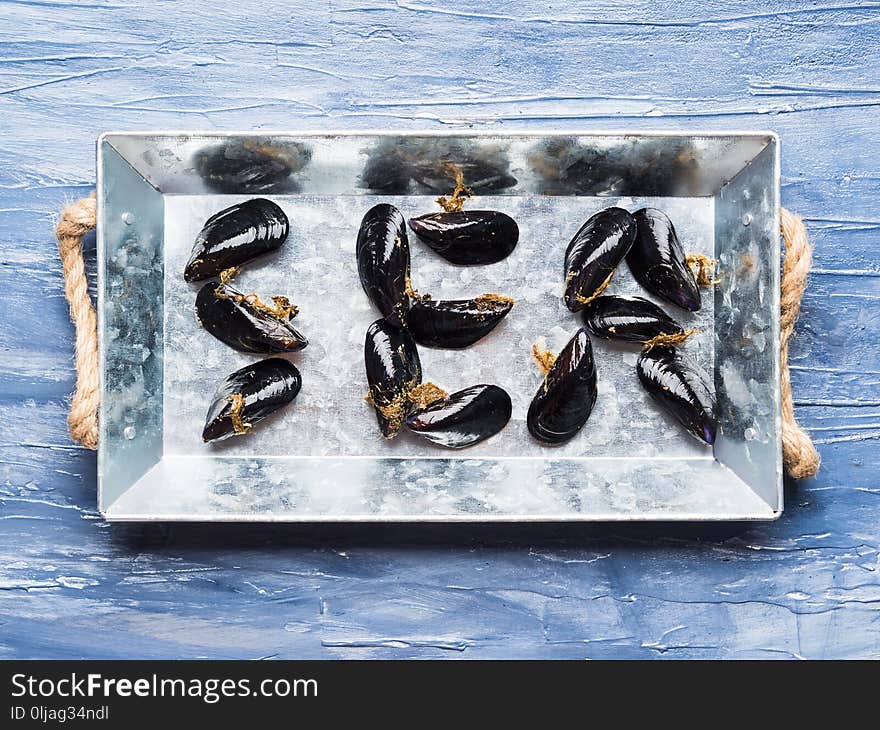 Word Sea written with mussels