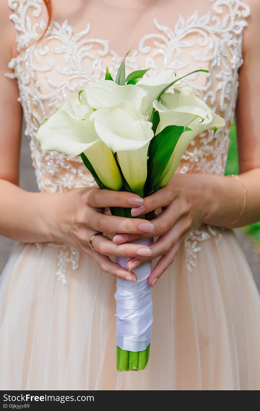 Bouquet of white calla flowers in bride`s hands close up. Bouquet of white calla flowers in bride`s hands close up
